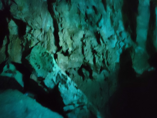IMG20230420104905