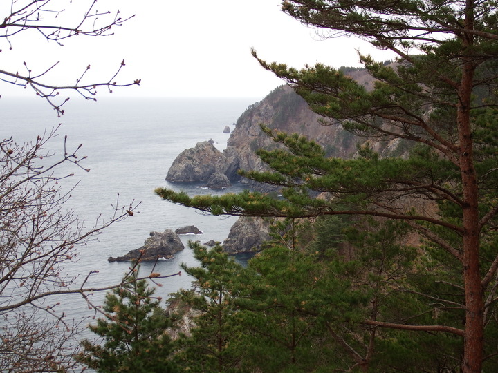 DSCF7806
