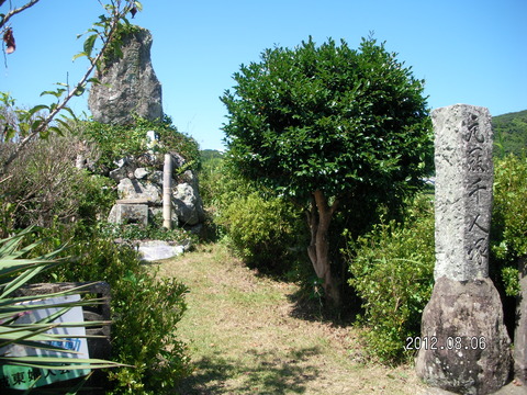 RIMG0669