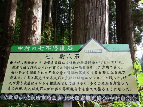 DSCF6544