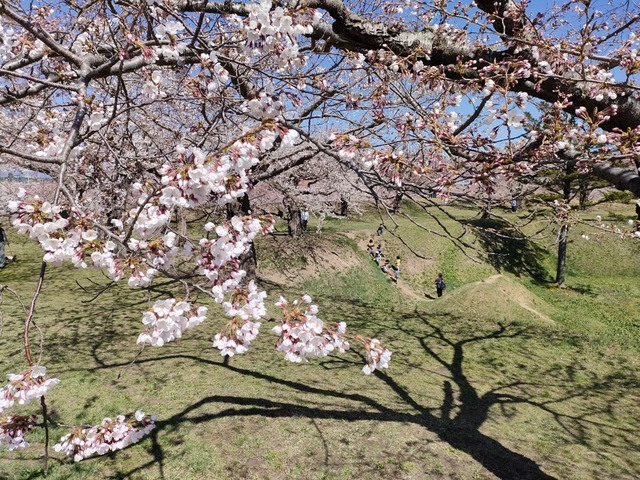 IMG20240422095028