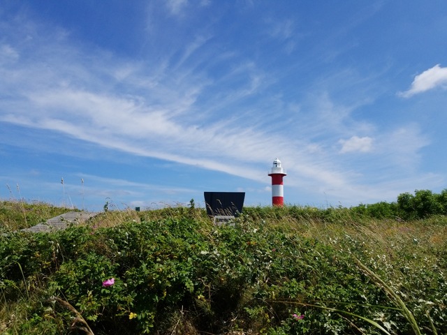 IMG_20210715_095504