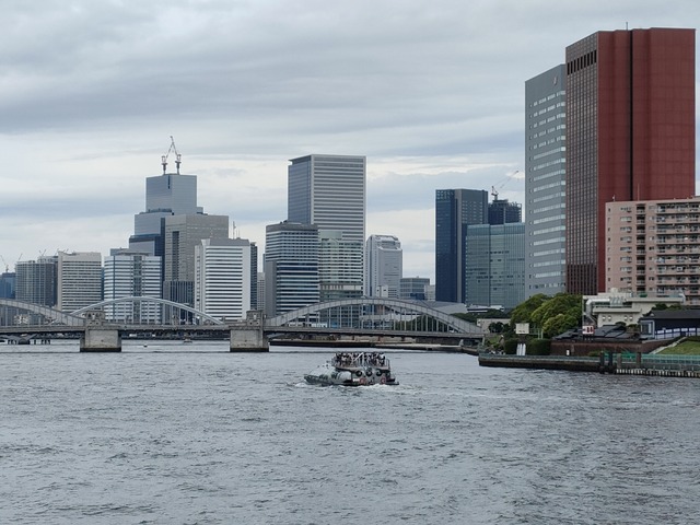 IMG20240512112648