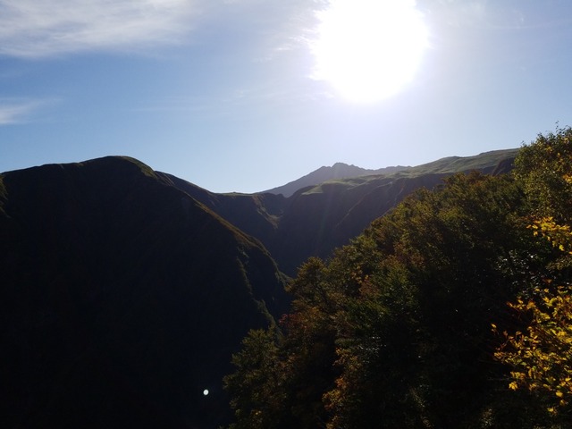 IMG_20211009_080635