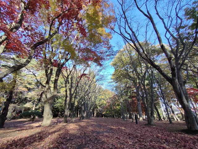 IMG20231115142442