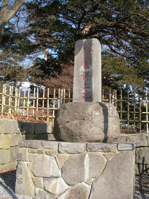 RIMG2955