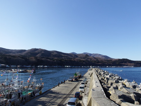 DSCF3519