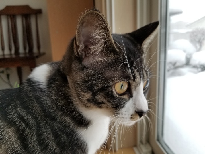20190117_075924