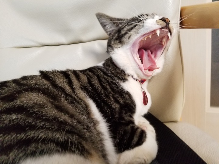 20190425_180412