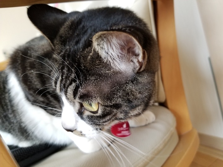 20190427_090619