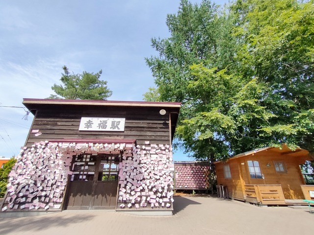 IMG20250714090715