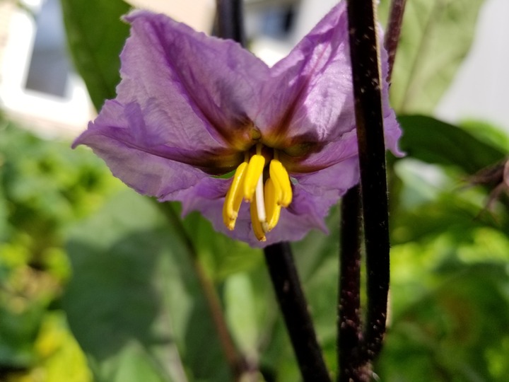 20190730_082306