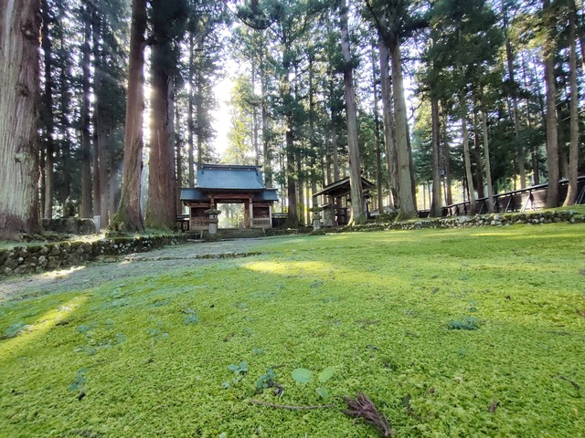 IMG20241013082012
