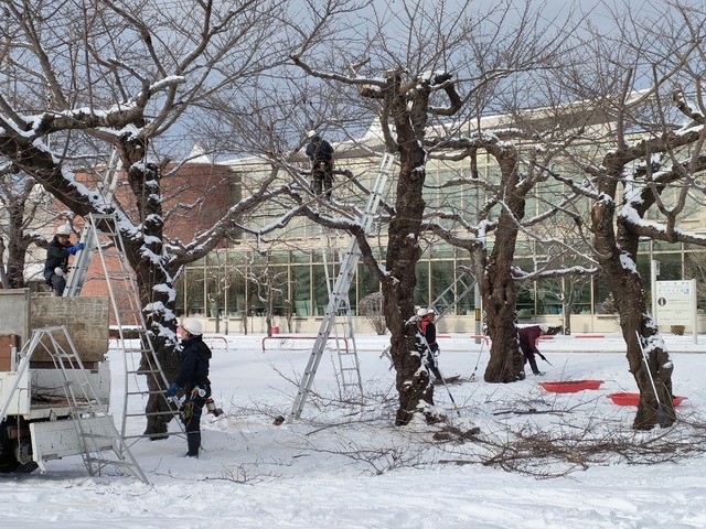 IMG20240111091323