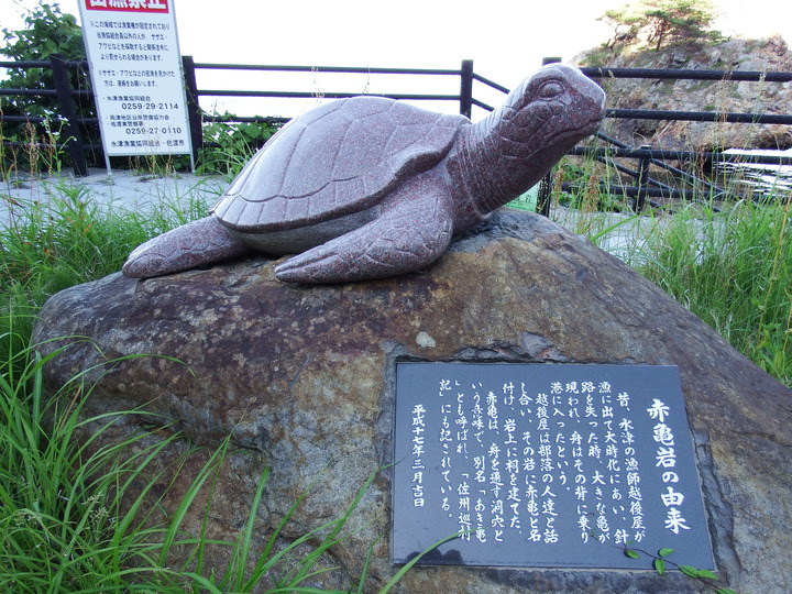 DSCF8616