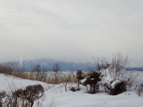 DSCF3887