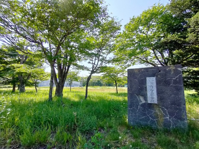 IMG20250712142636
