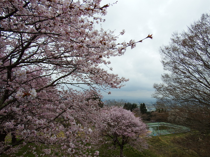 DSCF7944