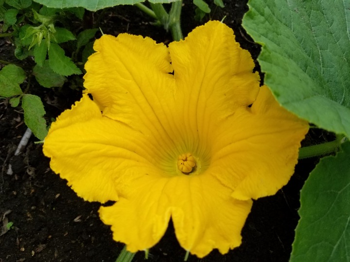 20190730_082144