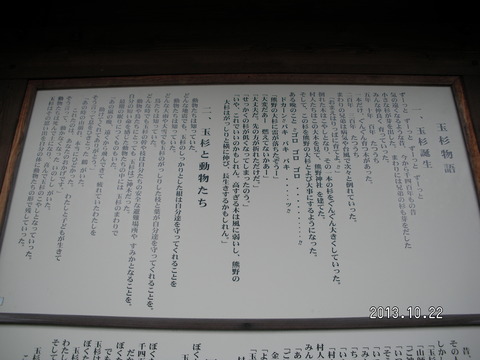 RIMG2625