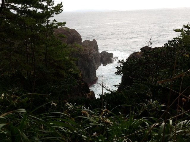 IMG_20211014_082203