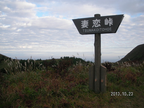 RIMG2661