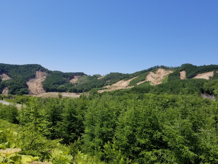 20190625_121215