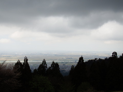DSCF5356