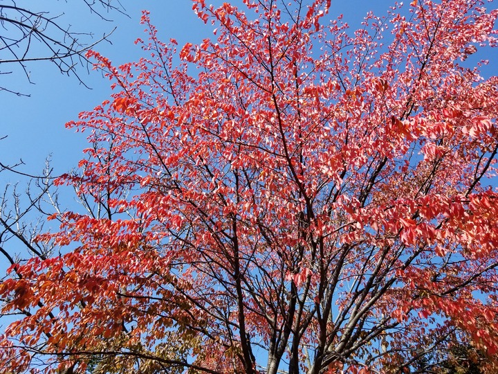20191020_105231