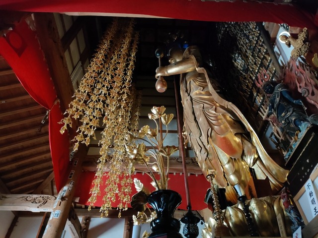 IMG20230517135008