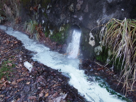DSCF3467