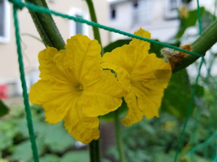 20190730_082206