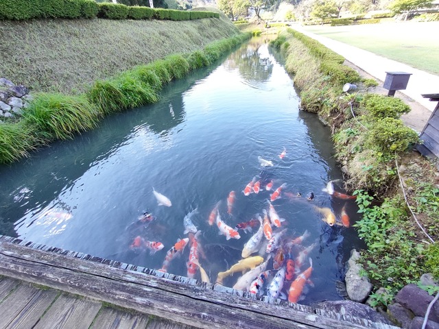 IMG20241010075953
