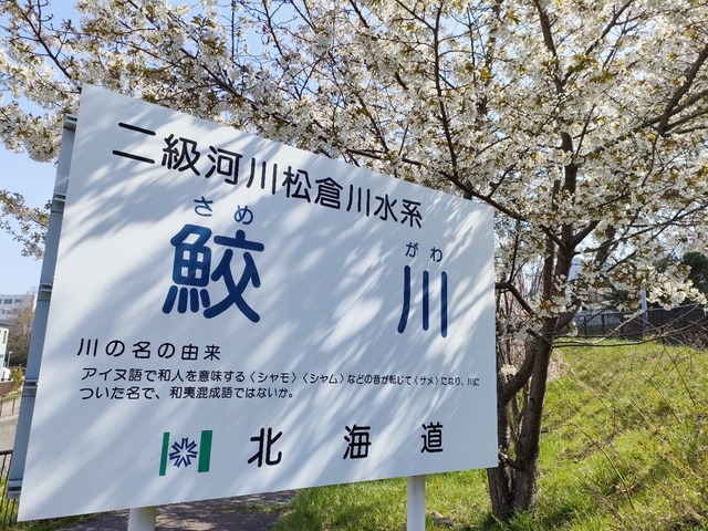 IMG20230425085644