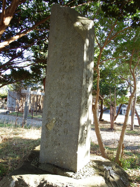 DSCF3533