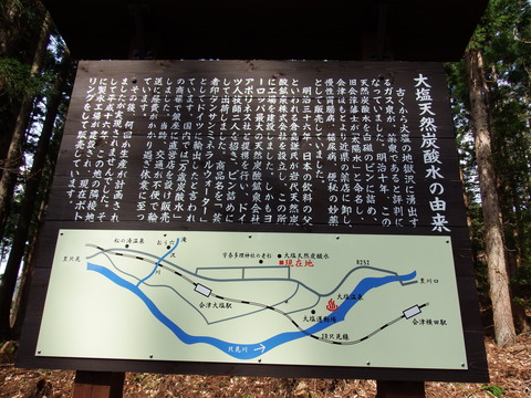 DSCF5029