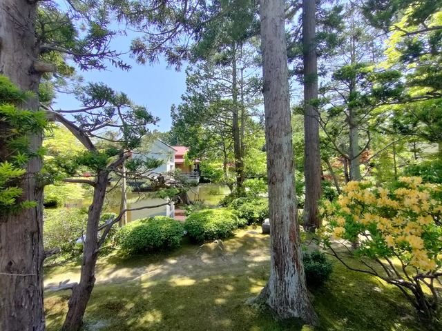 IMG20260604123443