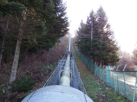 DSCF3487