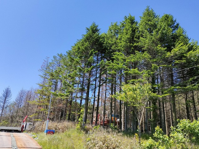 IMG20230619095949