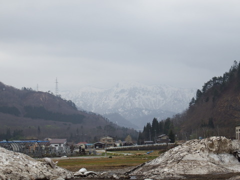 DSCF5062