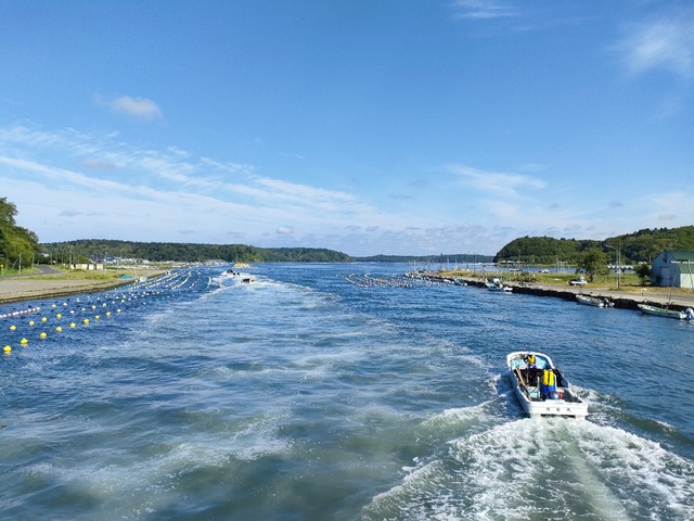 IMG20250713074539