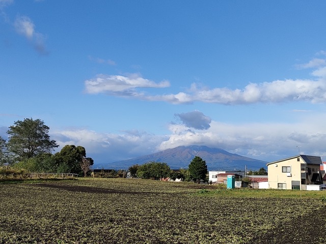 IMG20231022075855