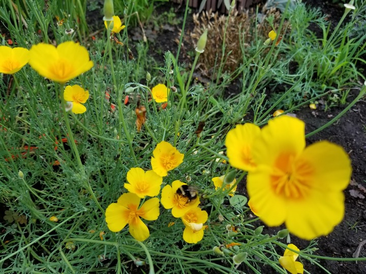 20190730_083036