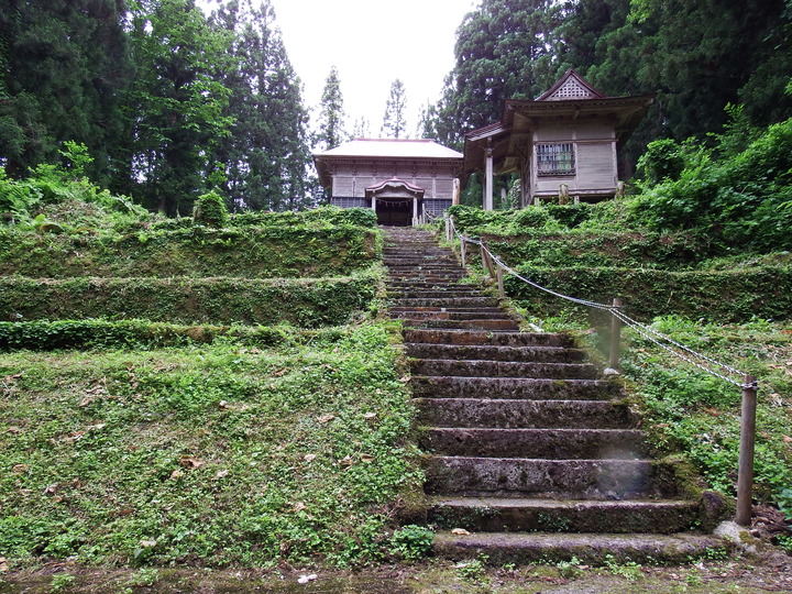 DSCF8754