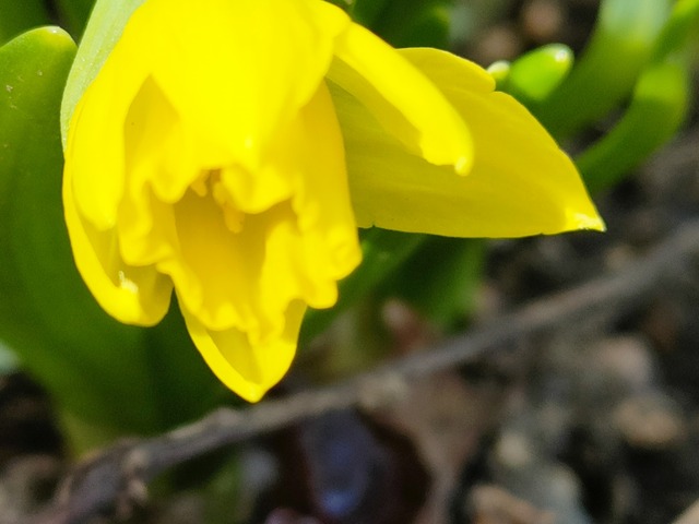 IMG20230324145041