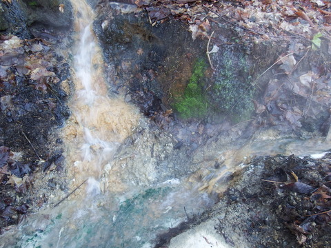 DSCF3464