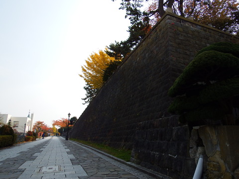 DSCF7574