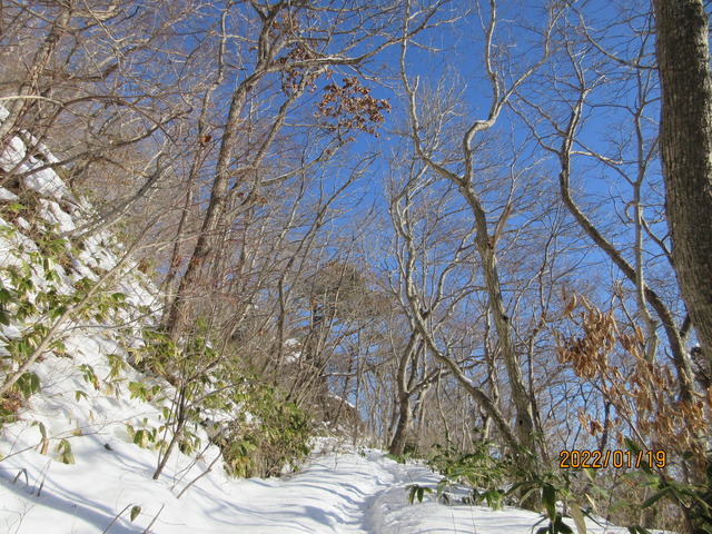 IMG_8325
