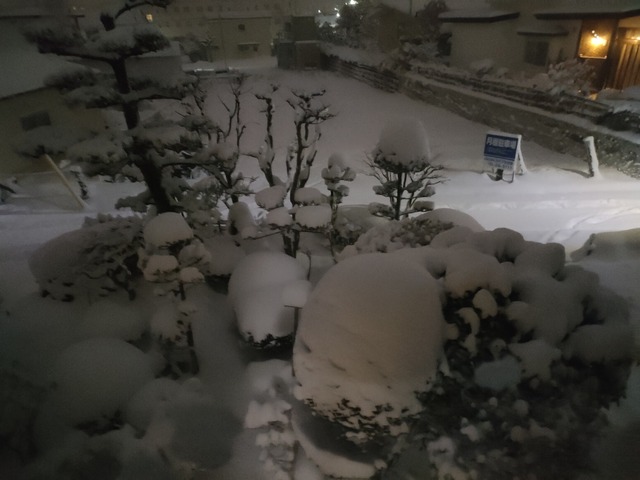 IMG20221215061829