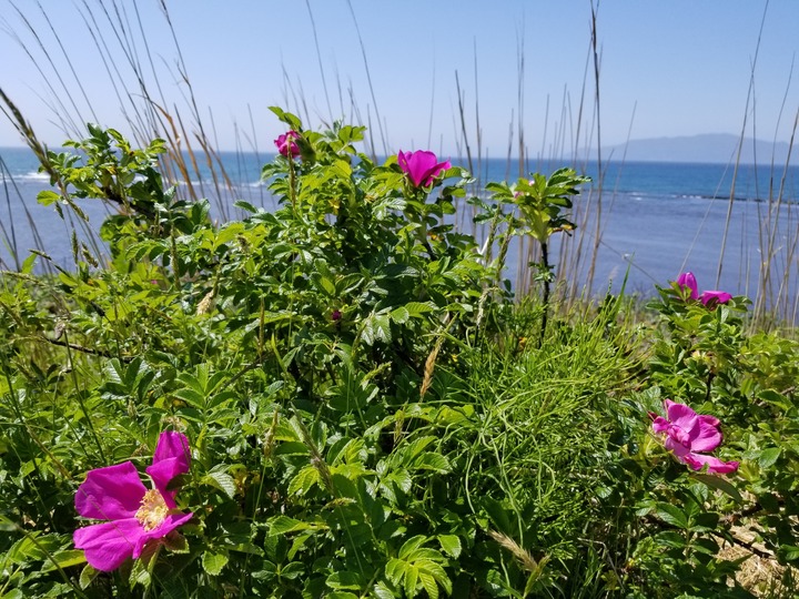 20190530_100436